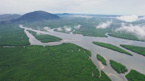 Paisaje-De-Manglares-Verdes-Con-Las-Islas-Ko-Si-Sip-Y-Ko-Pak-Thu-Rak-Yai-A-Lo-Largo-De-Los-Ríos-Andaman-De-La-Provincia-De-Khura-Buri,-Tailandia