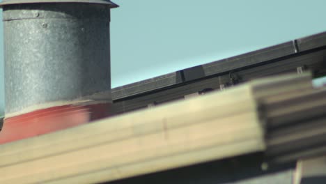 Common-Indian-Myna-Bird-On-Top-Of-Roof-With-Solar-Panels-Australia-Gippsland-Victoria-Maffra