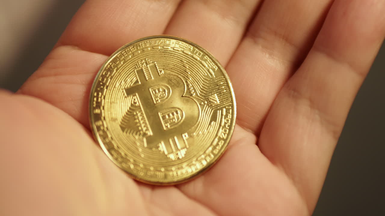 monedas de bitcoin sostenidas en la palma de la mano