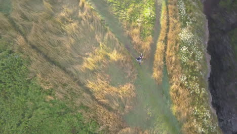 un corredor de senderos se dirige al aire libre en una carrera escénica