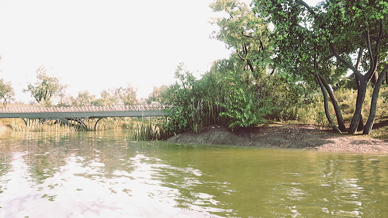lago pintoresco en el parque de verano
