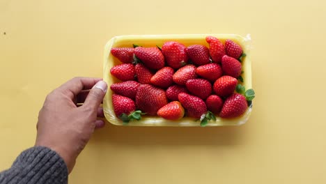hand holding a container of fresh strawberries