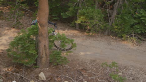 Die-Kamera-Schwenkt-Nach-Rechts,-Um-Einen-Mountainbiker-Zu-Sehen,-Der-Auf-Einem-Feldweg-Durch-Einen-Wald-Fährt