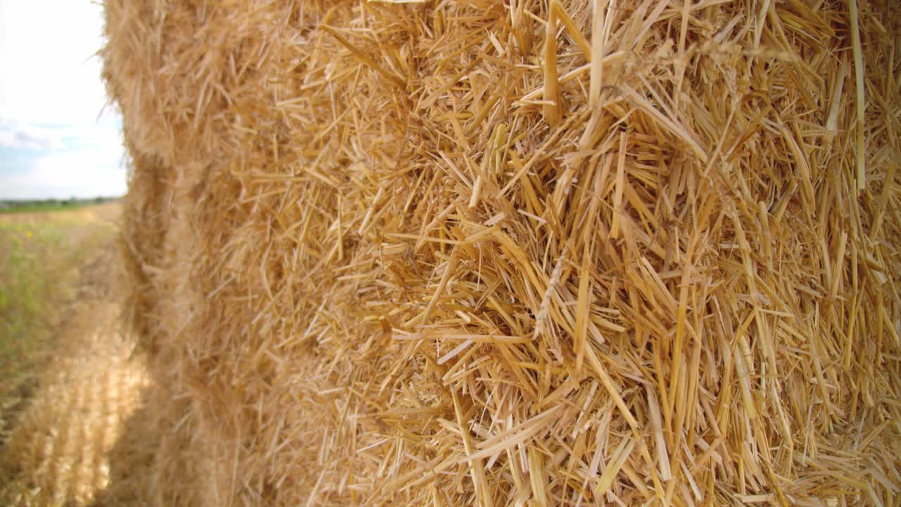 vista de cerca de las balas de heno cuadradas de paja apiladas en el campo durante un día soleado