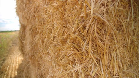 closeup view of square hay bales of straw stacked on field during sunny day