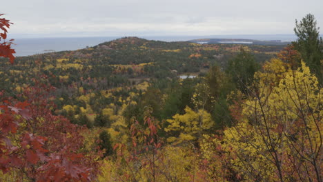 handheld pan up from rock to reveal the forests in fall color on the shore of lake superior