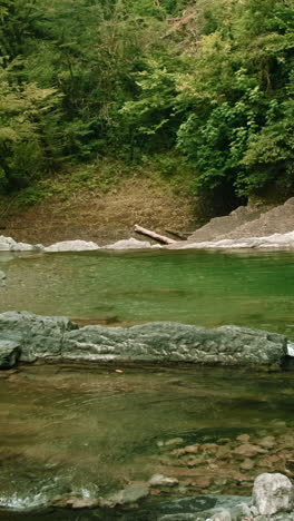 emerald pool in a lush forest