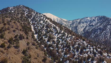 Aerial-View-Of-Snowy-Mountain-With-Trees-In-Daytime-In-Death-Valley-National-Park-In-California