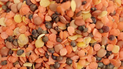 a variety of lentils and beans cascade onto a surface, creating a vibrant, textured pattern in bright lighting