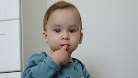 one year old toddler in blue shirt holding a finger in his mouth. cute kid stands on all four and crawls up to camera. close up.