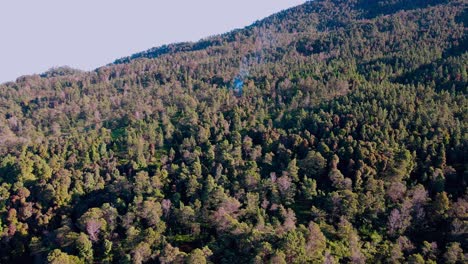 Backward-drone-view-of-tropical-forest-on-the-Slope-of-mount-Sumbing,-Magelang,-Indonesia