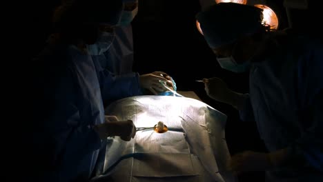 Surgeons-performing-operation-in-operation-room