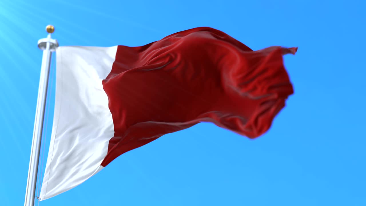 bandera del emirato de dubai, emiratos árabes unidos - bucle