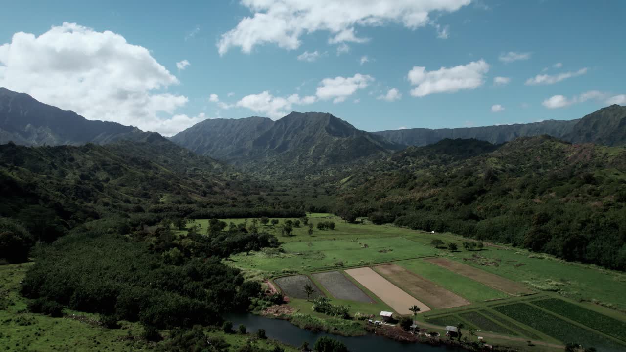 plantaciones de raíz de taro, hermoso panorama de montañas en la costa norte de kauai, antena