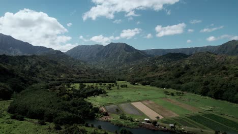 taro root plantations, beautiful panorama of mountains on the north shore of kauai, aerial