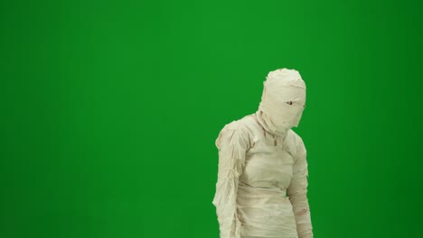 green screen isolated chroma key half turn video capturing a mummy staggering on a place mock up - green screen isolated chroma key half turn video capturing a mummy staggering on a place. mock up, workspace for your promotion clip or advertisement. medium size. halloween holidays