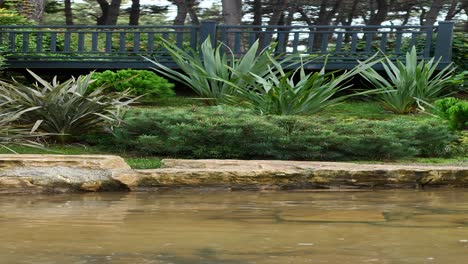 peaceful garden with water feature and bridge