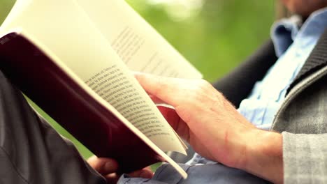 libro de lectura en el bosque