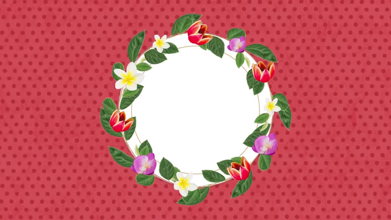 분홍색 배경에 다채로운 꽃으로 장식 된 빈 둥근 카드의 애니메이션