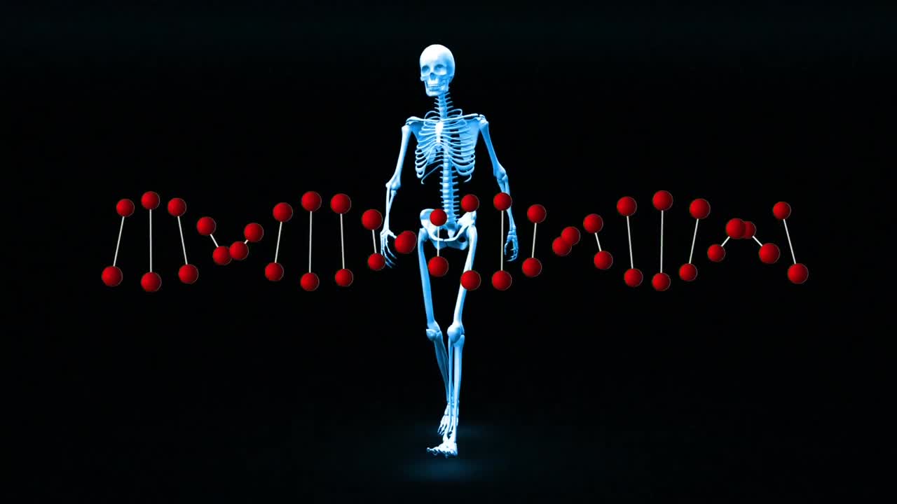 modelo de cuerpo humano y adn