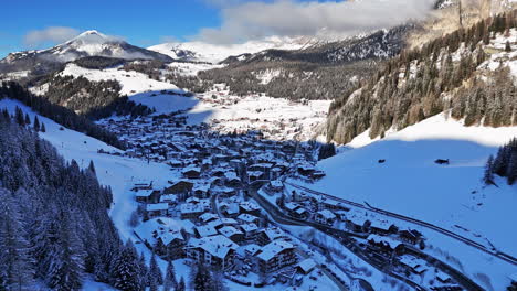 tree-enveloped mountain town