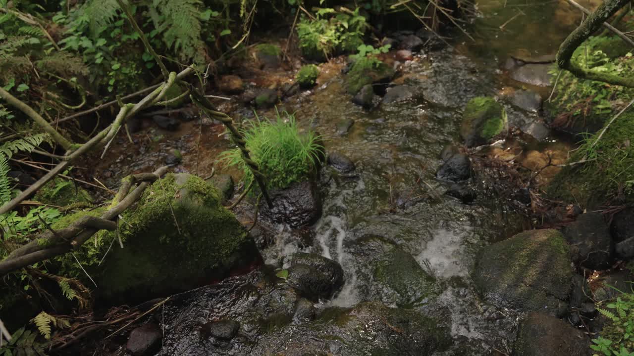 Nawa River Basin in Daisen, Tottori Japan