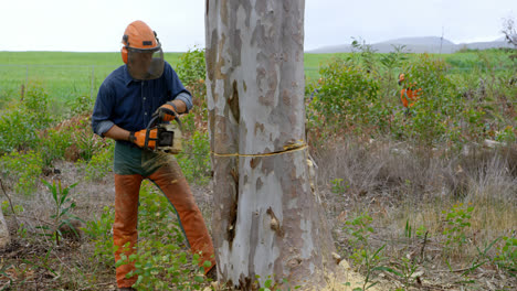 Lumberjack-with-chainsaw-cutting-tree-trunk-4k