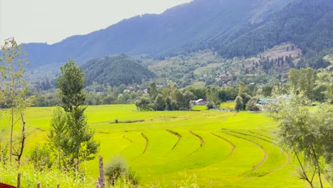 destination wast rangeland long roads and green fields. kupwara and doodpathri budgam kashmir looks same beautiful and attractive.
