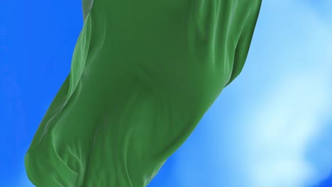 seamless loop of libya flag.