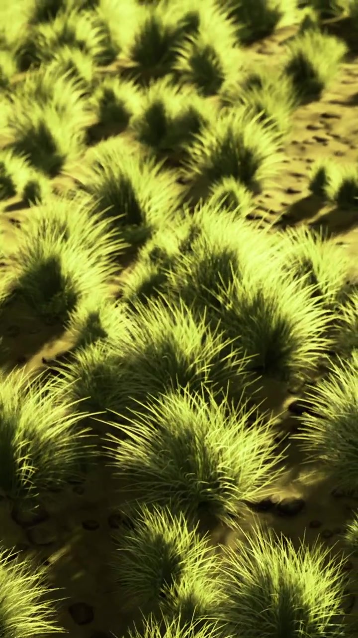 Vibrant green grass covering a field in bright sunlight during daytime hours