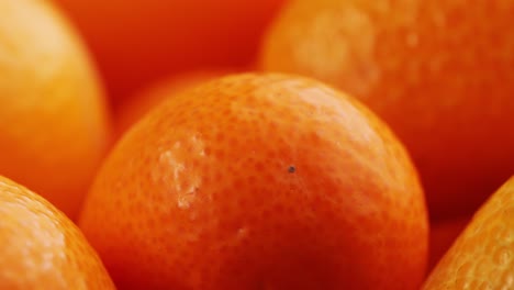 close-up of kumquats
