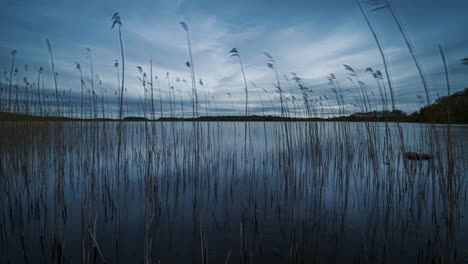 Zeitraffer-Eines-Sees-Mit-Schilfgras-Im-Vordergrund-Und-Sich-Bewegenden-Wolken-Am-Himmel-In-Der-Ferne-An-Einem-Dunklen-Tag-Am-Lough-Meelagh-In-Der-Grafschaft-Roscommon-In-Irland