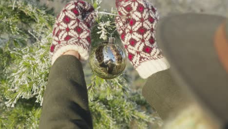Woman-hanging-gold-Christmas-decoration-bubble-on-tree-branch-in-cold-sunny-winters-day-in-red-mittens