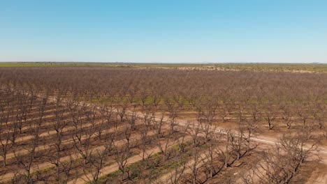 Aerial-drone-footage-of-field-of-sowing-in-Hermosillo-Sonora-Mexico---flying-over-view-2