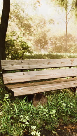 empty wooden bench in a park