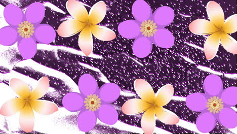 animation of rows of flowers, moving and changing pink texture and copy space on black background