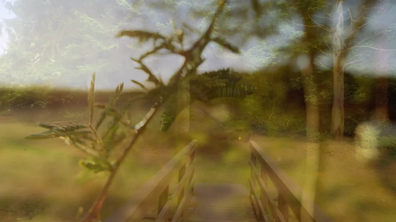 Wooden bridge in nature with leafy plant in foreground, animation style