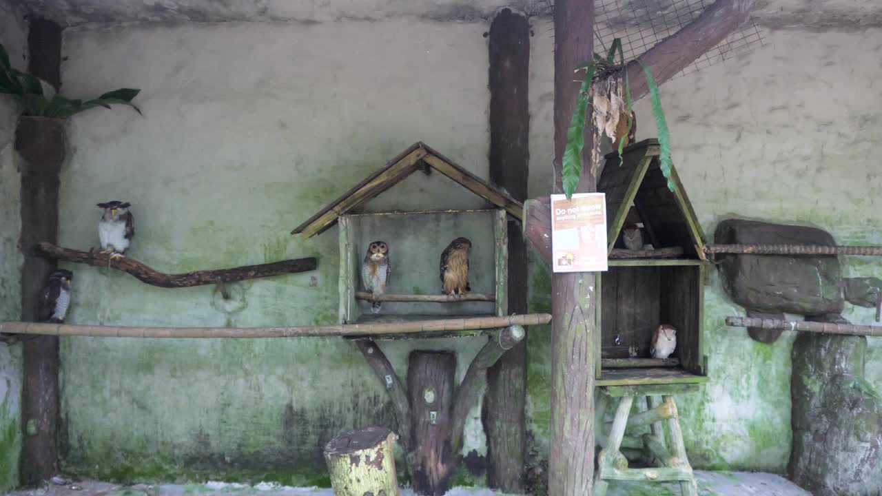 kl 조류 공원, 자연의 경이로움, 산책하고 여기 야생동물 전화