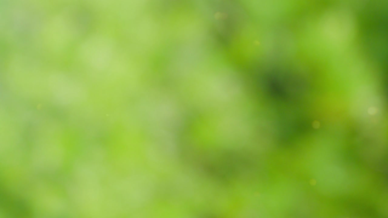 fondo de color abstracto con movimiento bokeh