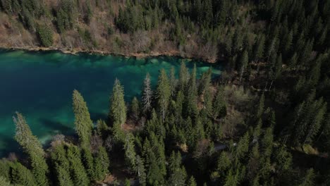 Una-Vista-Aérea-Resalta-El-Exuberante-Follaje-Y-Las-Vívidas-Aguas-De-Cresta-see-En-Graubünden,-Suiza,-Que-Encarna-La-Esencia-De-La-Belleza-Natural-Y-La-Aventura-Al-Aire-Libre.