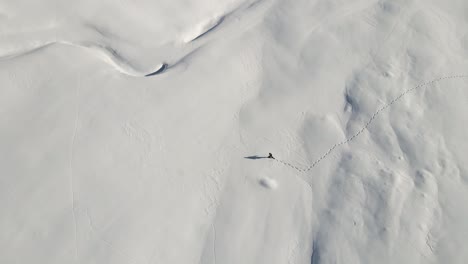 Un-Hombre-Soltero-Está-Caminando-En-Medio-De-Las-Nevadas-Montañas-Italianas-Con-Sus-Raquetas-De-Nieve