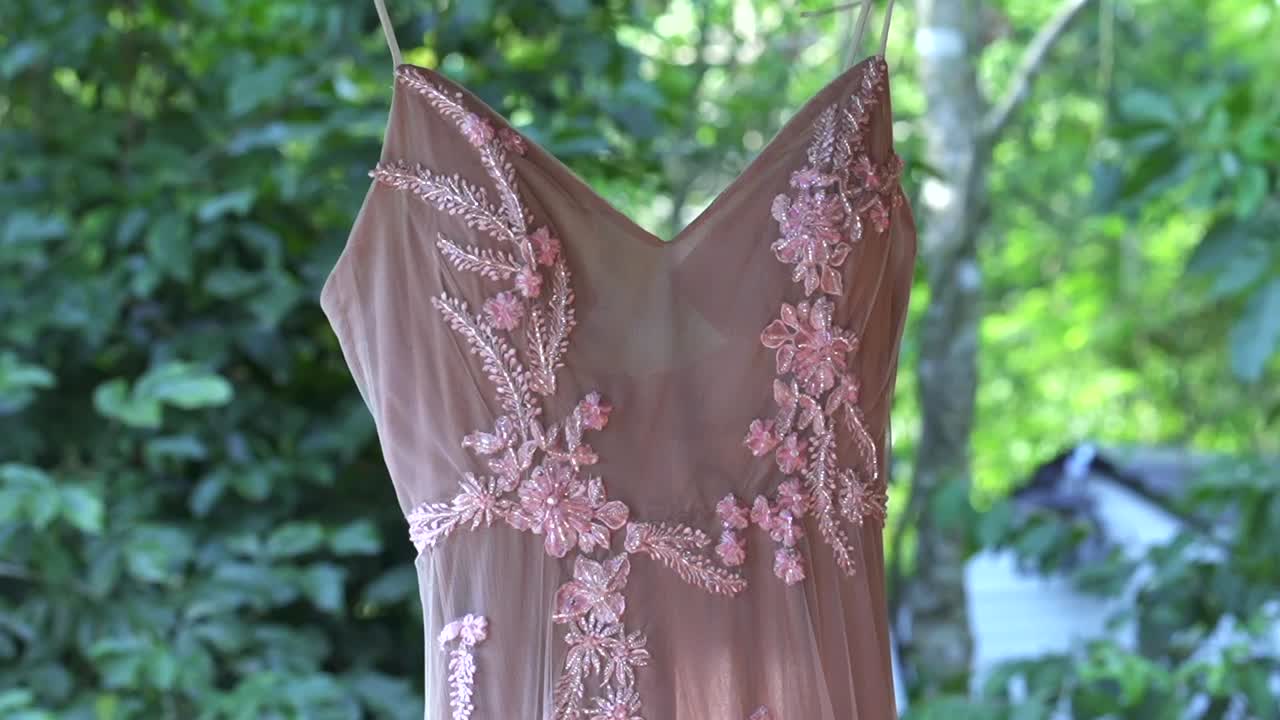 Static shot frames delicate pink wedding dress on hanger, showcasing intricate front floral details