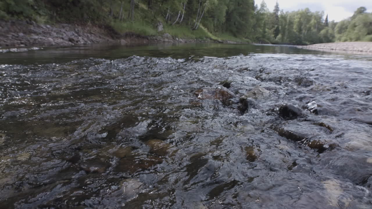 Rapide del fiume con rocce
