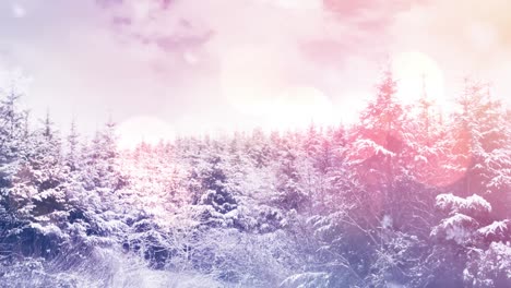Lichtfleck-über-Schneebedeckten-Bäumen-In-Der-Winterlandschaft
