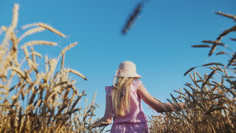 Happy-baby-runs-across-a-wheat-field-against-a-blue-sky-1