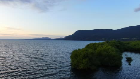 aerial orbit around green shrubs growing in south american lake, lake villarrica in pucon, chile