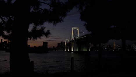 bridge at night over bay to tokyo