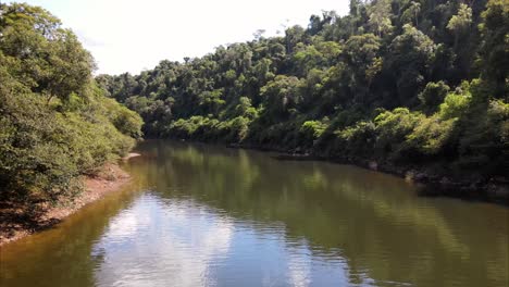 small river amidst the lush jungle