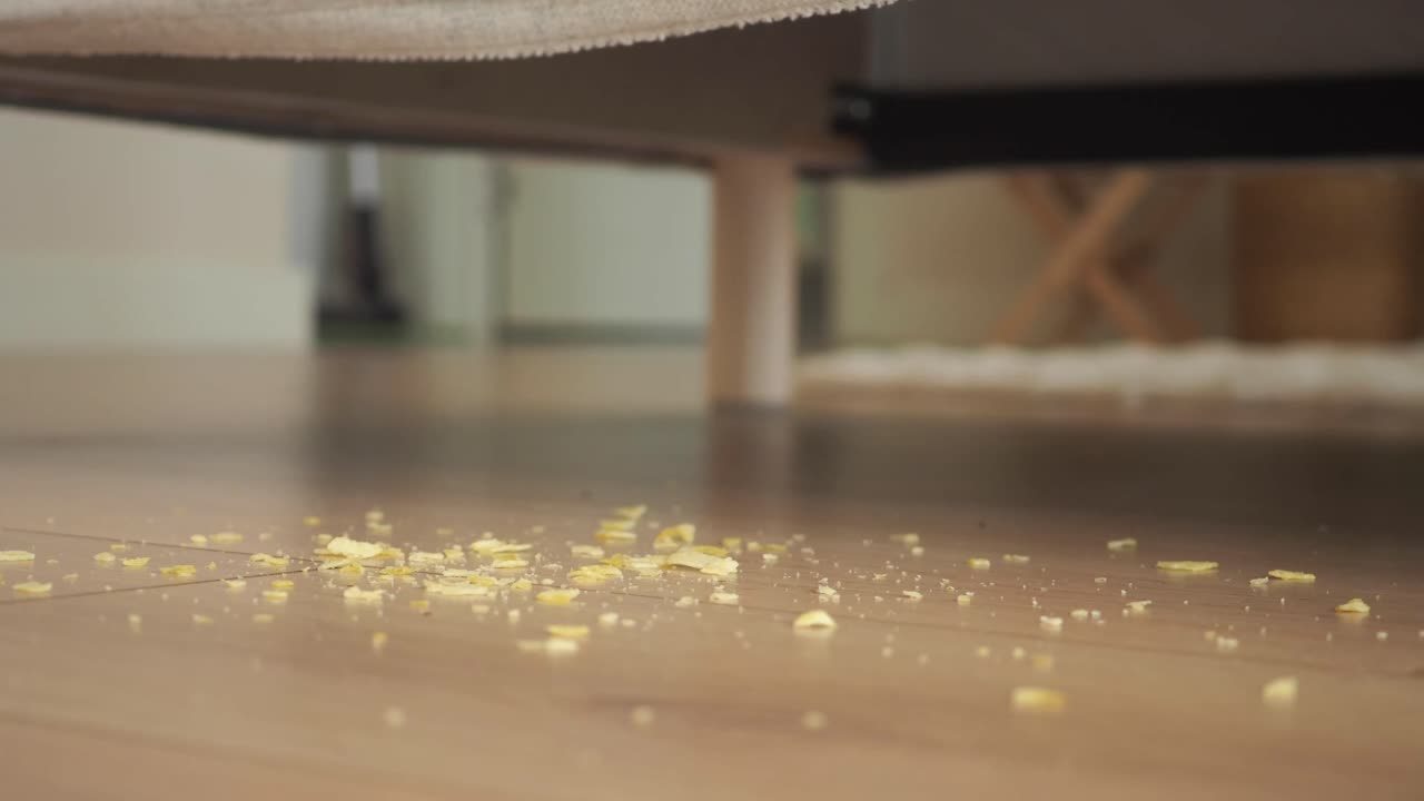 Food crumbs scattered on a wooden floor under furniture