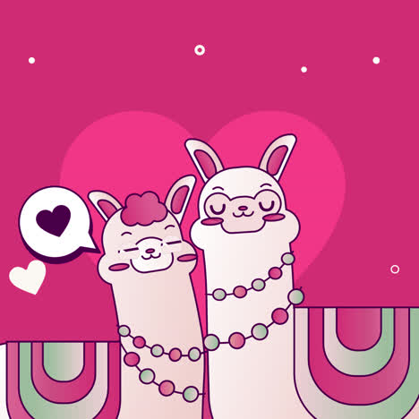 two cute llamas in love